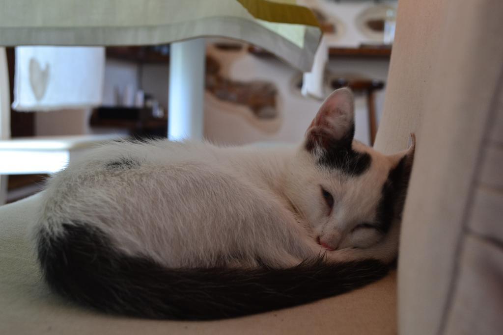 Heremo Delle Ripe Trinita  Bagian luar foto
